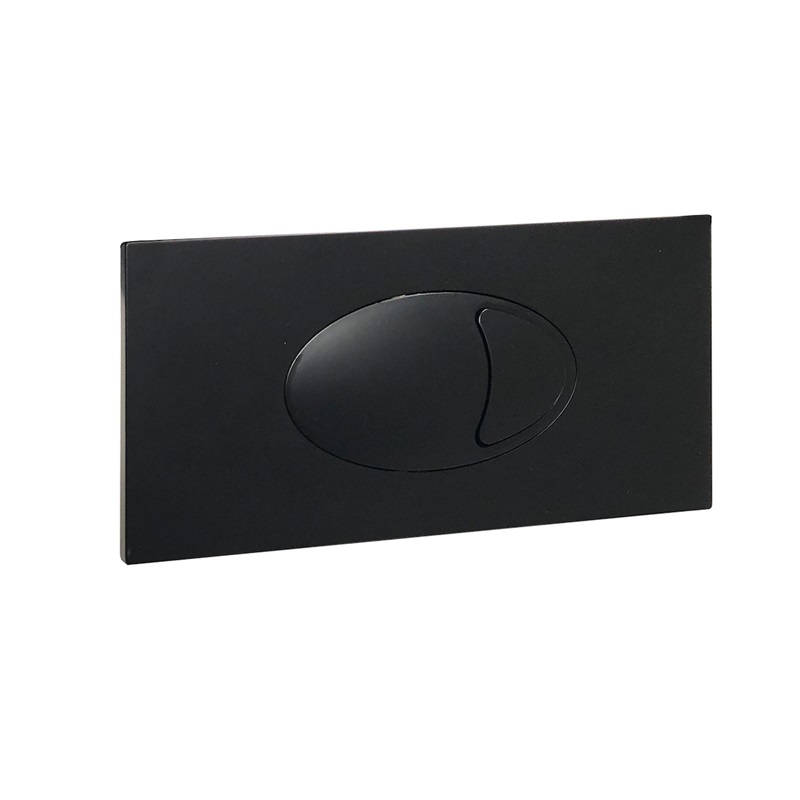 Scudo large Black Dual Flush Pate and Access panel